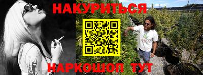 амф Сланцы