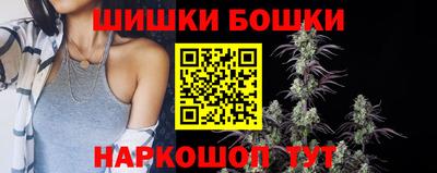 гашик Славгород