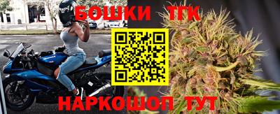 гашик Славгород