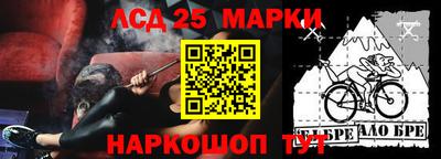 гашик Славгород