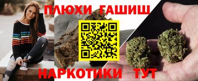 амф Сланцы